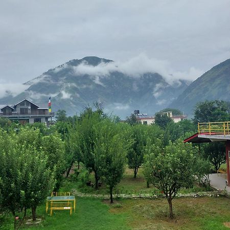 Gazing Moon Homestay Shamshi Экстерьер фото